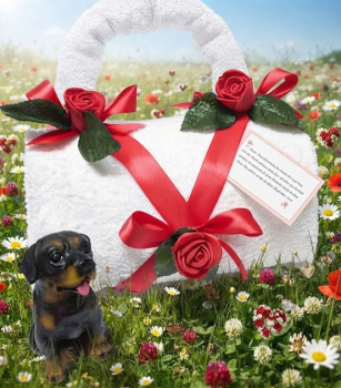 Handgemachte Handtuch-Tasche aus weißem Dusch- und Gästehandtuch, verziert mit roten Schaumrosen, Schleifen und Geschenklogo